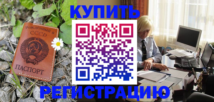 временная регистрация поиск в Змеиногорске